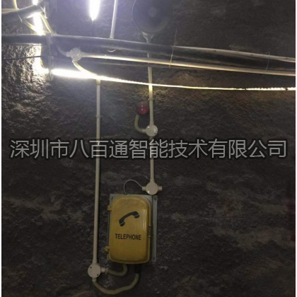 八百通中标重庆某地区-成功案例